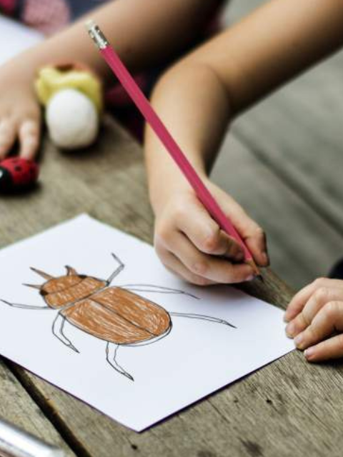 Drawing of a bug during environmental education activity.