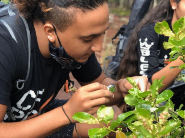 photo of male student inspecting plants with magnifying glass