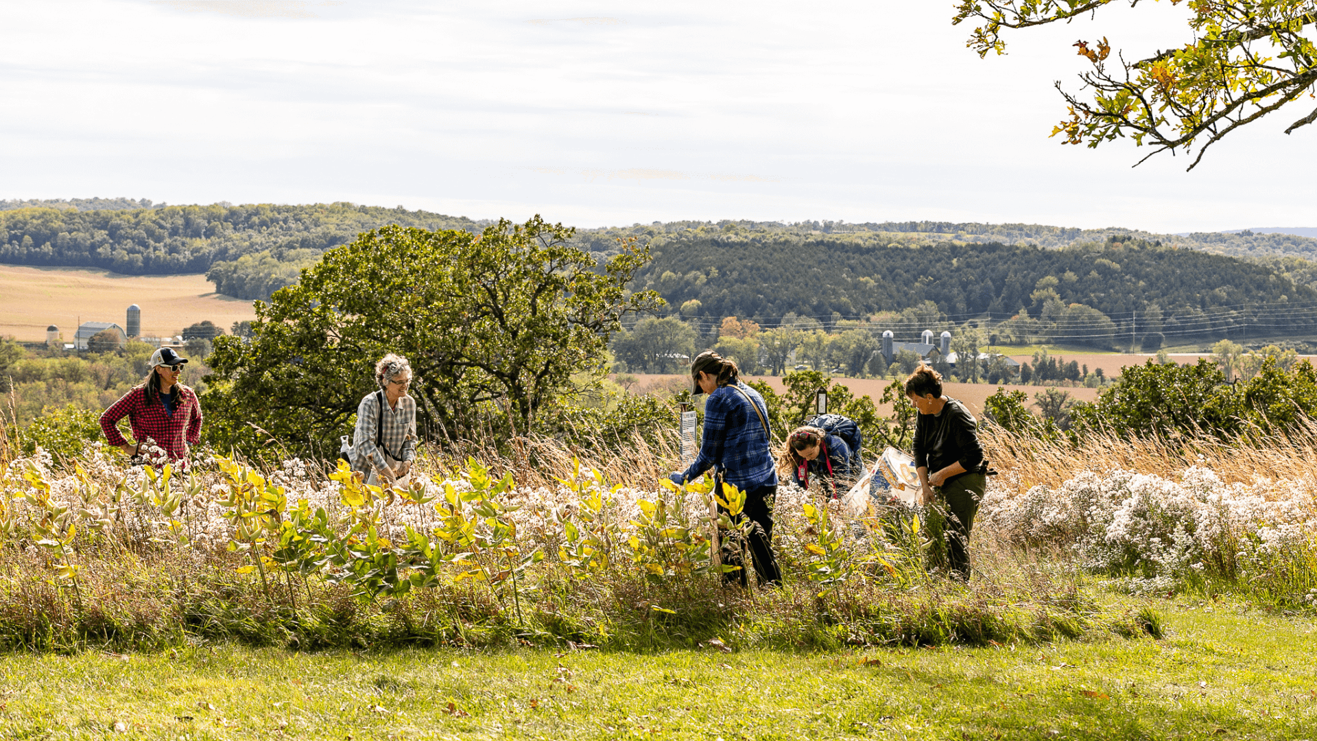 photo of a group of women restoring a prairie on public lands 