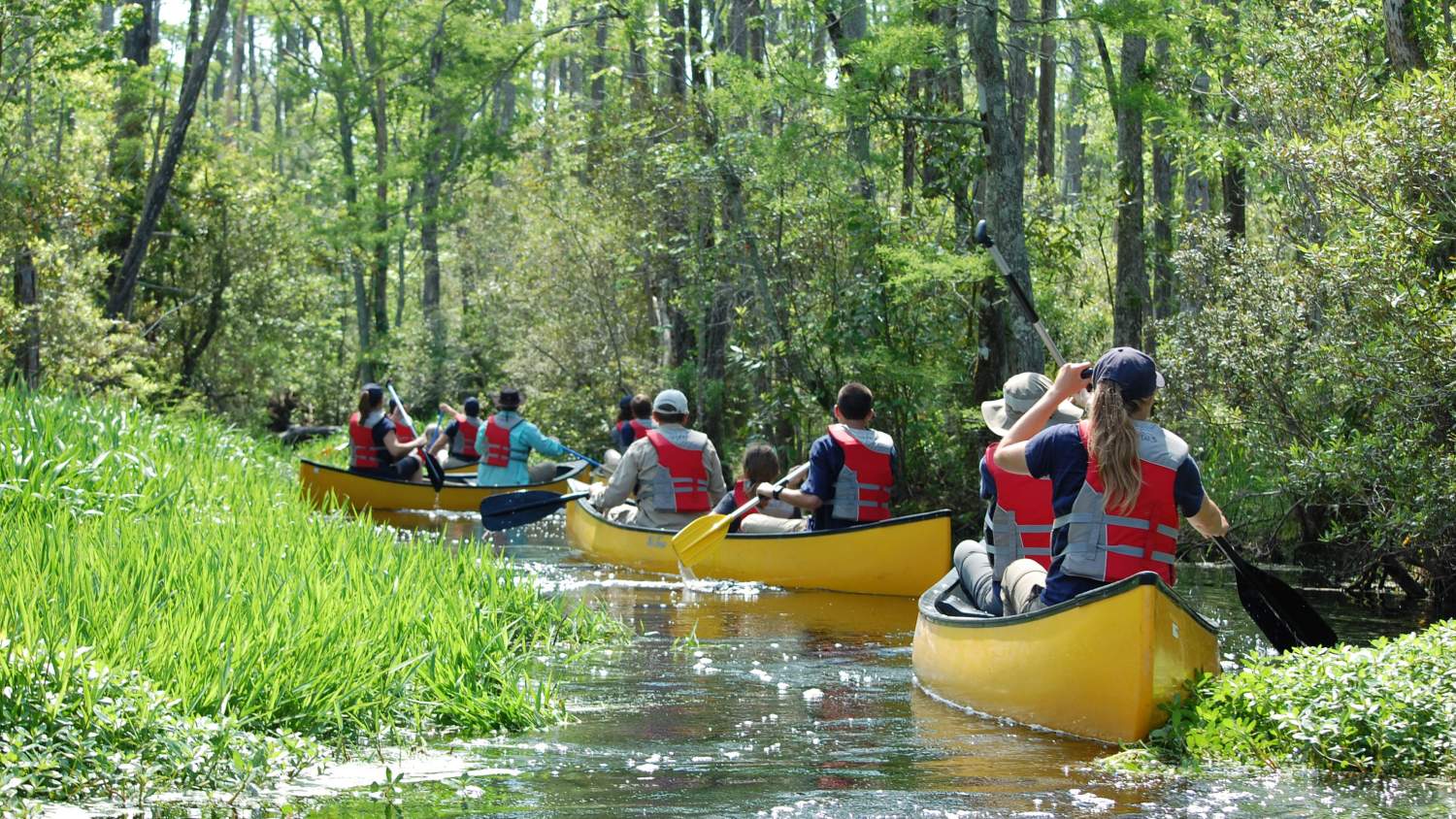Canoe trip at Pea Island and Alligator River National Wildlife Refuge