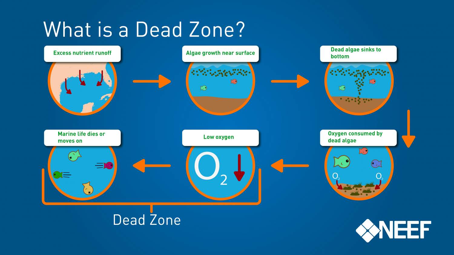 What is a Dead Zone?
