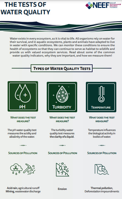 Water quality infographic thumbnail
