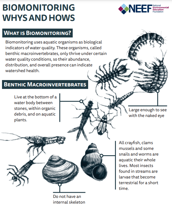 Biomonitoring-infographic-thumbnail