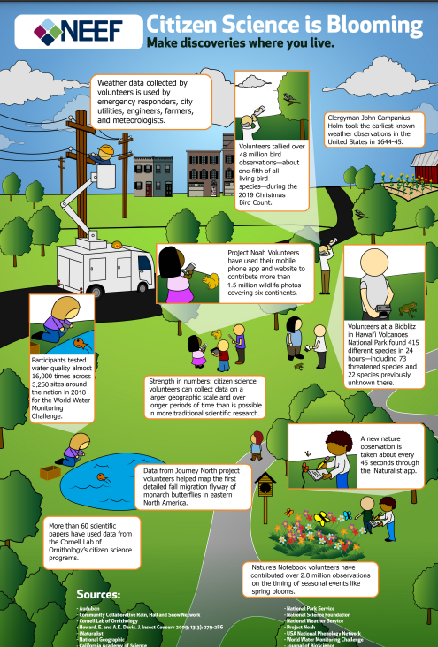 Citizen Science Infographic