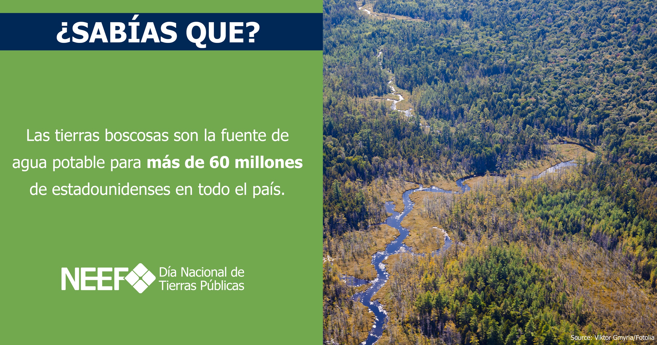 Las tierras boscosas son la fuente de agua potable para más de 60 millones de estadounidenses en todo el país.