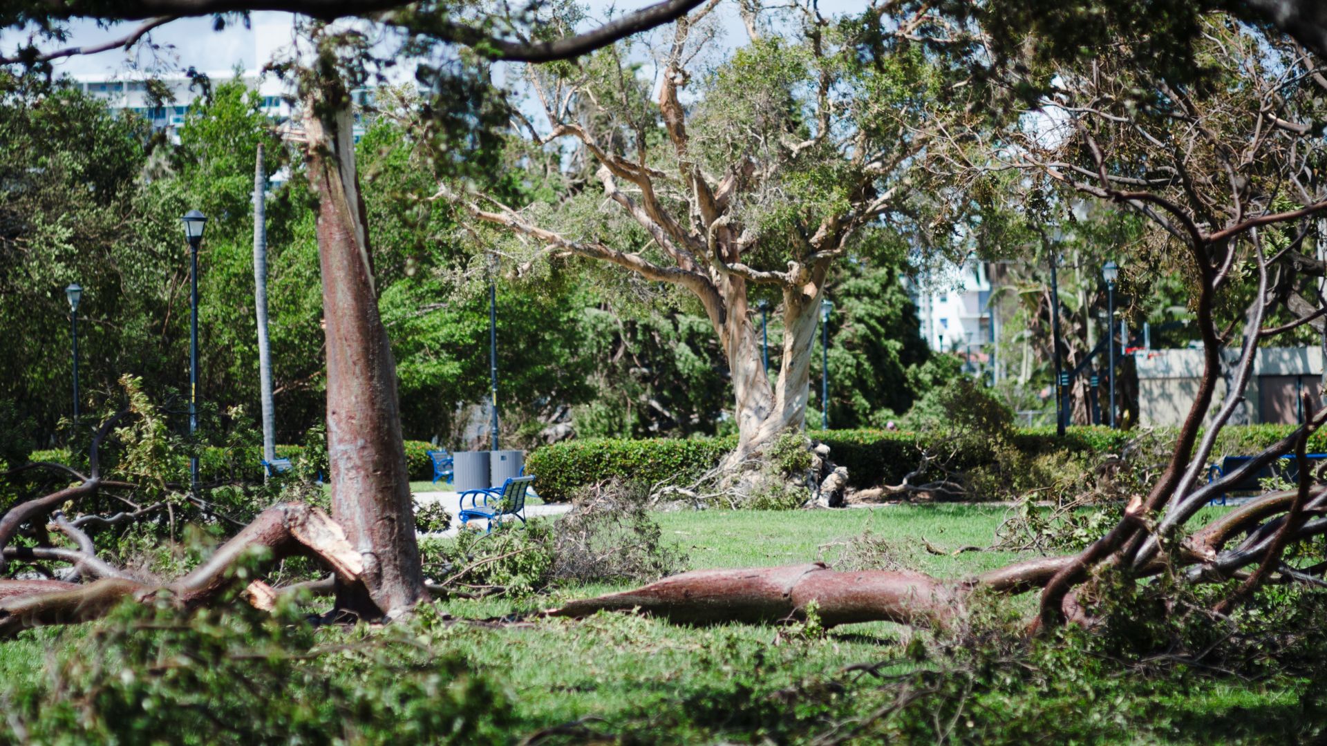 Restoration and Resilience Fund | The National Environmental Education ...