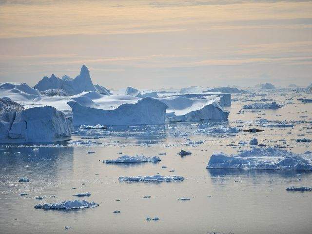 Icebergs floating on the water