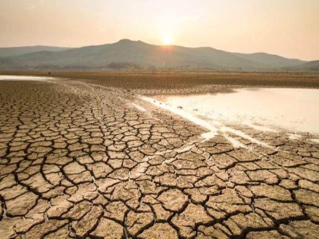 Drying lakebed in the sun