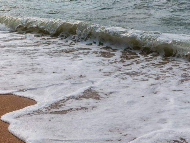 Waves washing up on the shoreline