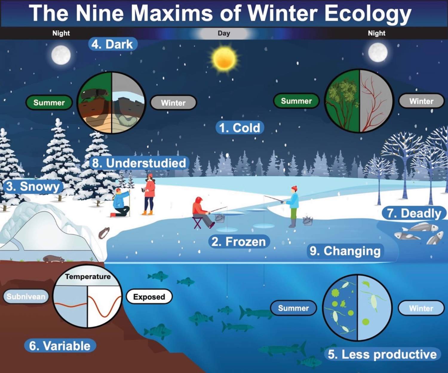 Infographic with the Nine Maxims of Winter Ecology