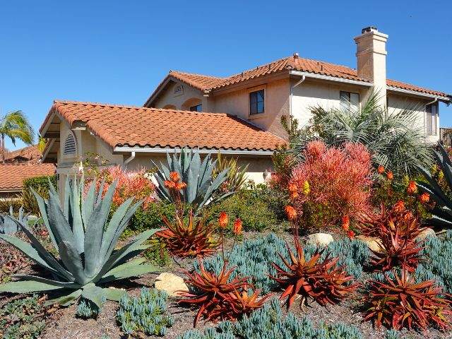 A drought tolerant landscape in front of a home.