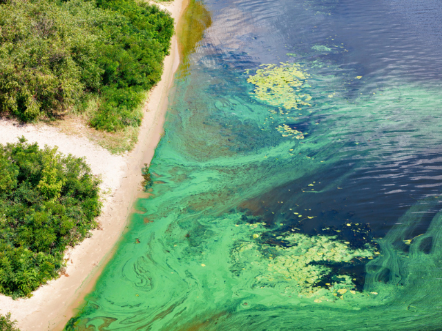 Engared Water Water | The National Environmental Education Foundation (NEEF)