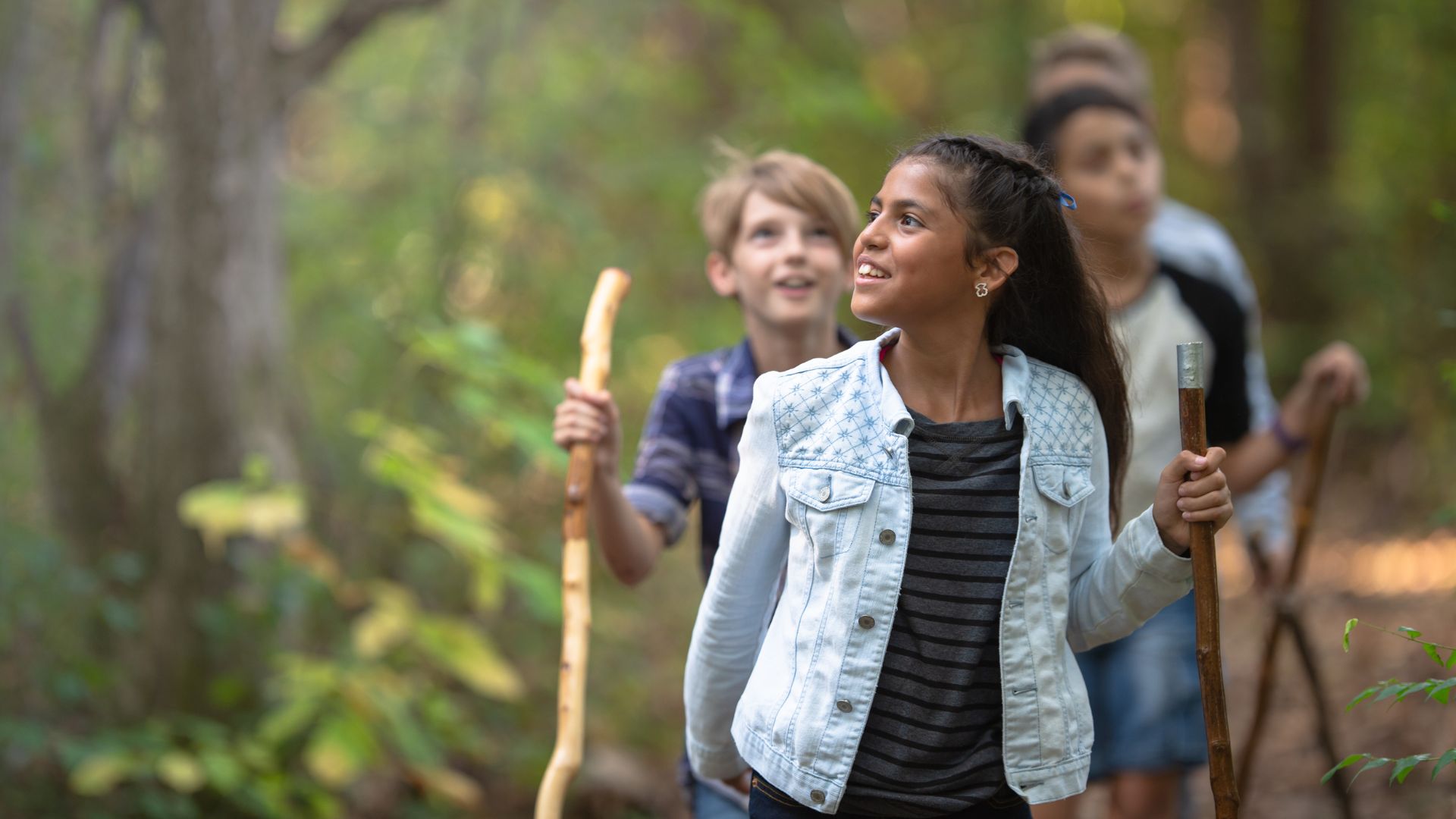 a group of young students walks through a forest using walking sticks