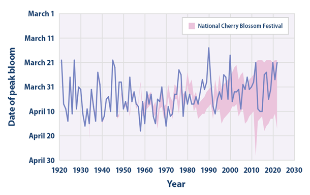 Graph showing National Cherry Blossom Festival Date of Peak Bloom