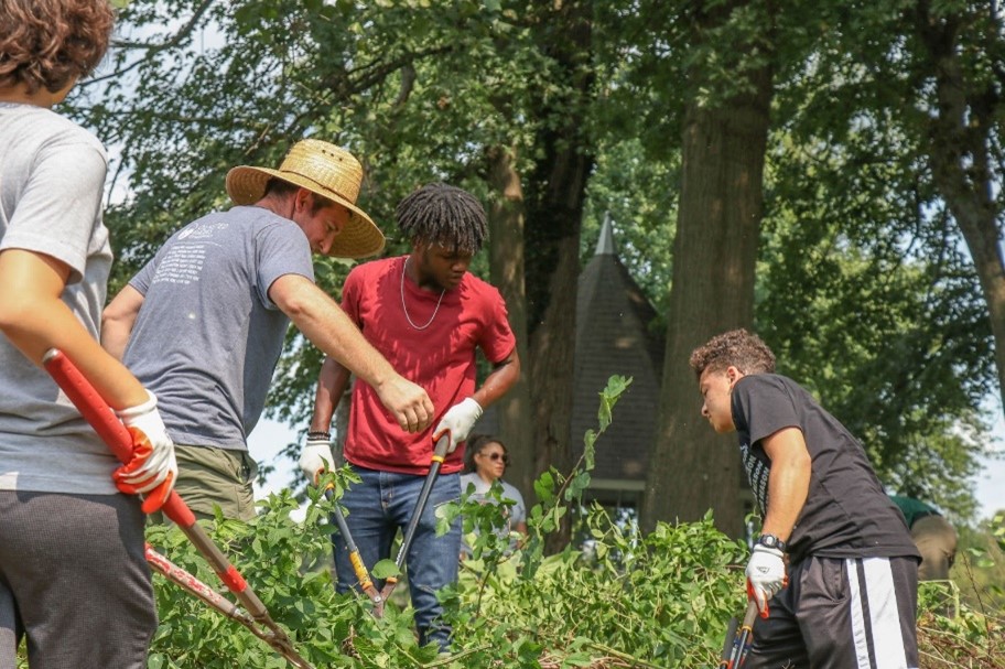 volunteers removing invasive species in Chickasaw Park