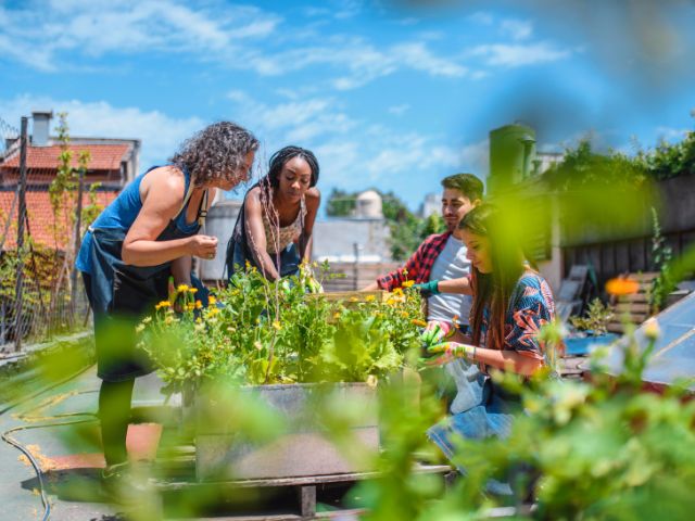 an urban gardener instructs a groups on how to plant flowers