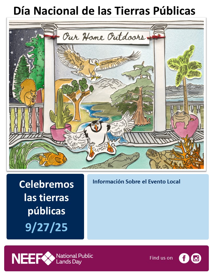 NPLD 2025 Customizable flyer with NPLD Graphic and title in Spanish