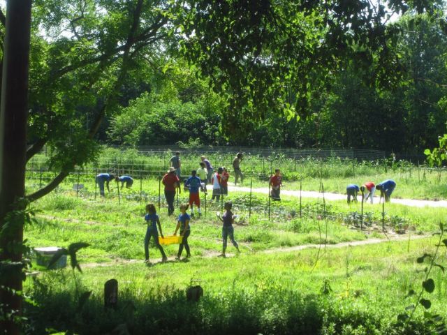 Youth volunteers in the community garden at Bartram's Garden