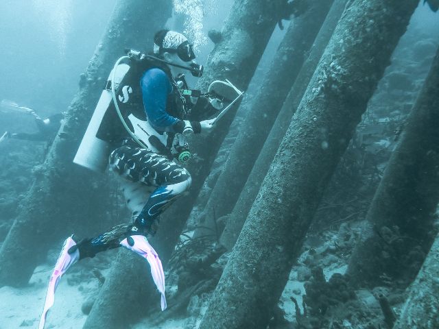 Lindsay Cordero sketching underwater