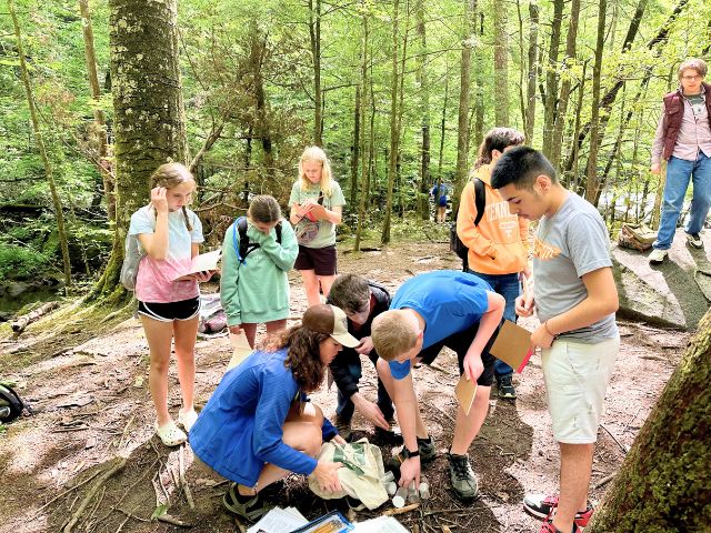 Students participate in a Greening STEM project at Great Smoky Mountains National Park.