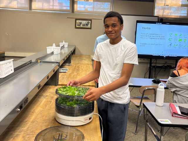 a student stands with an herb drying machine with fresh green herbs