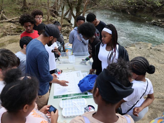 A group of students compare their findings during a water quality monitoring activity.