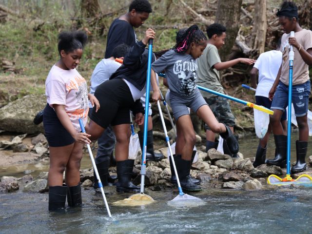 students from Huntsville AL wade into a local creek for a macroinvertebrate study