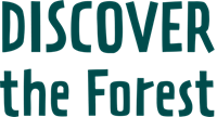 Discover the Forest logo