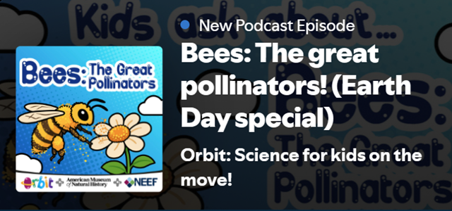 Spotify Cover for Cumbre Kids Bees Episonde