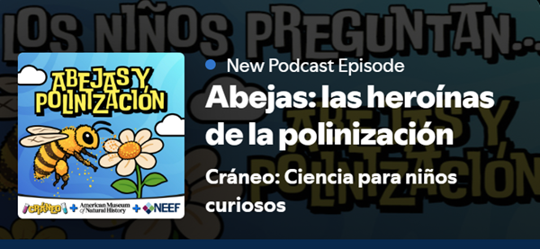 Spotify Cover for Cumbre Kids Bees Episonde in Spanish