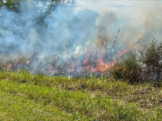 a prescribed burn fire at Perryville Nature Preserve in Kentucky