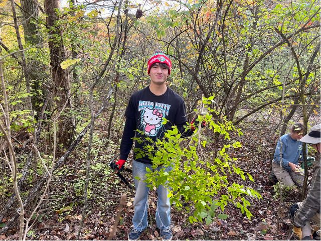 A young man volunteering holds a branch of a invasive species being removed.