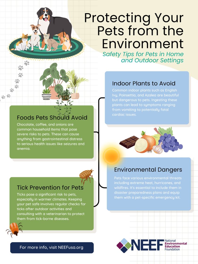 infographic about protecting your pets from the environment