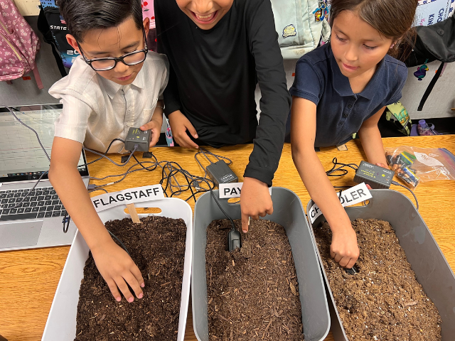 Middle school students with their hands in buckets of dirt
