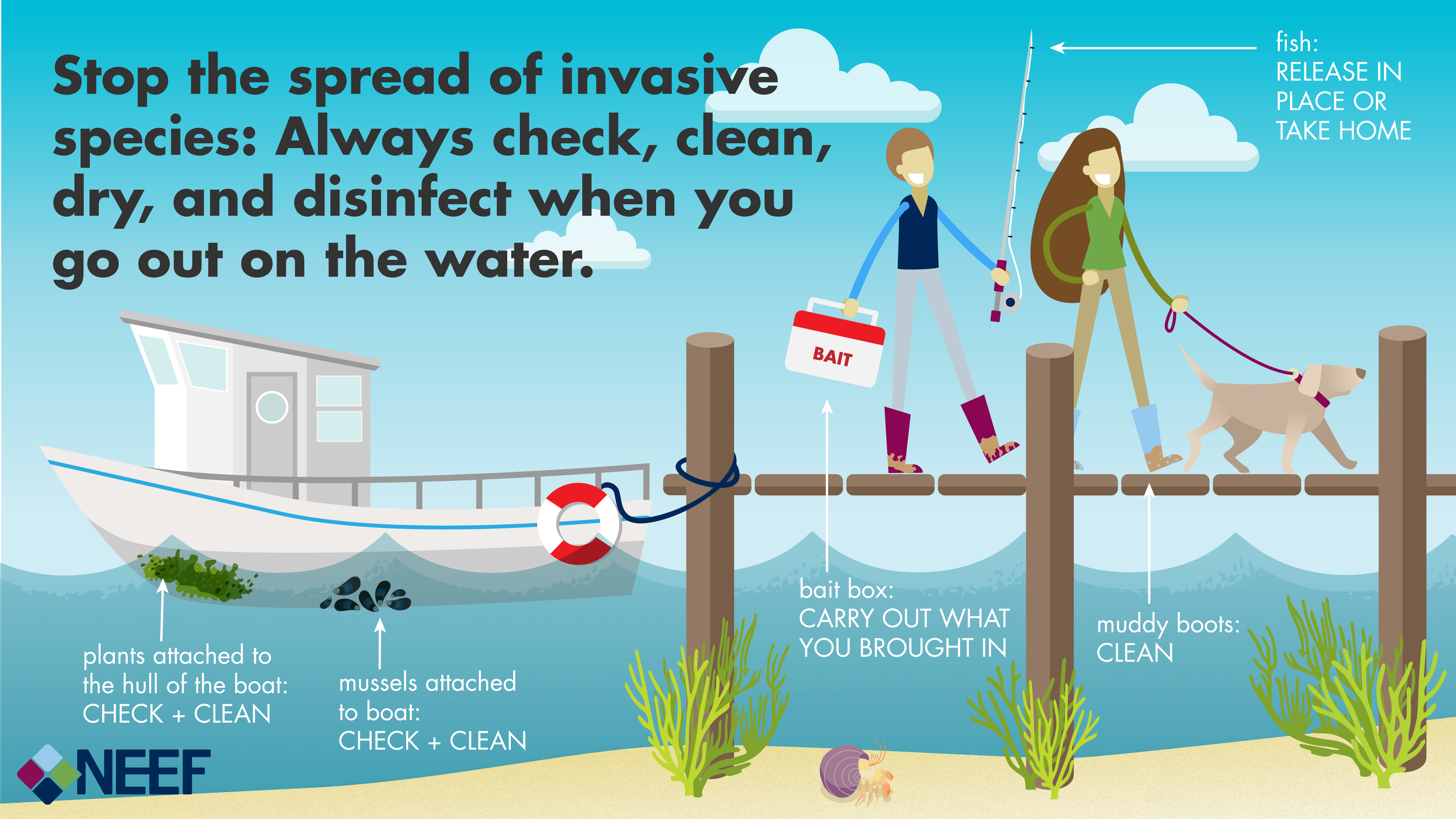 Infographic of two people and a dog exiting a boat, holding fishing gear. Text: Stop the spread of invasive species; Always check, clean, dry, and disinfect when you go out on the water. 