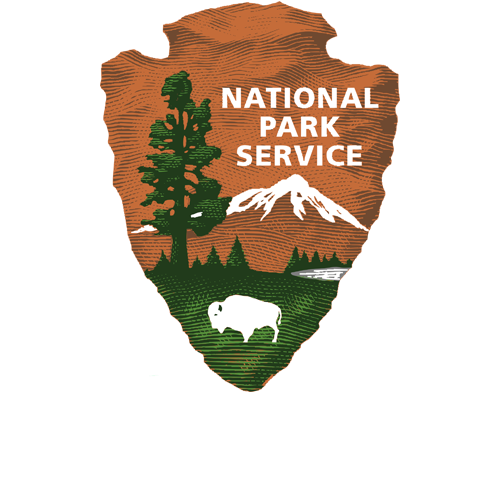 NPS