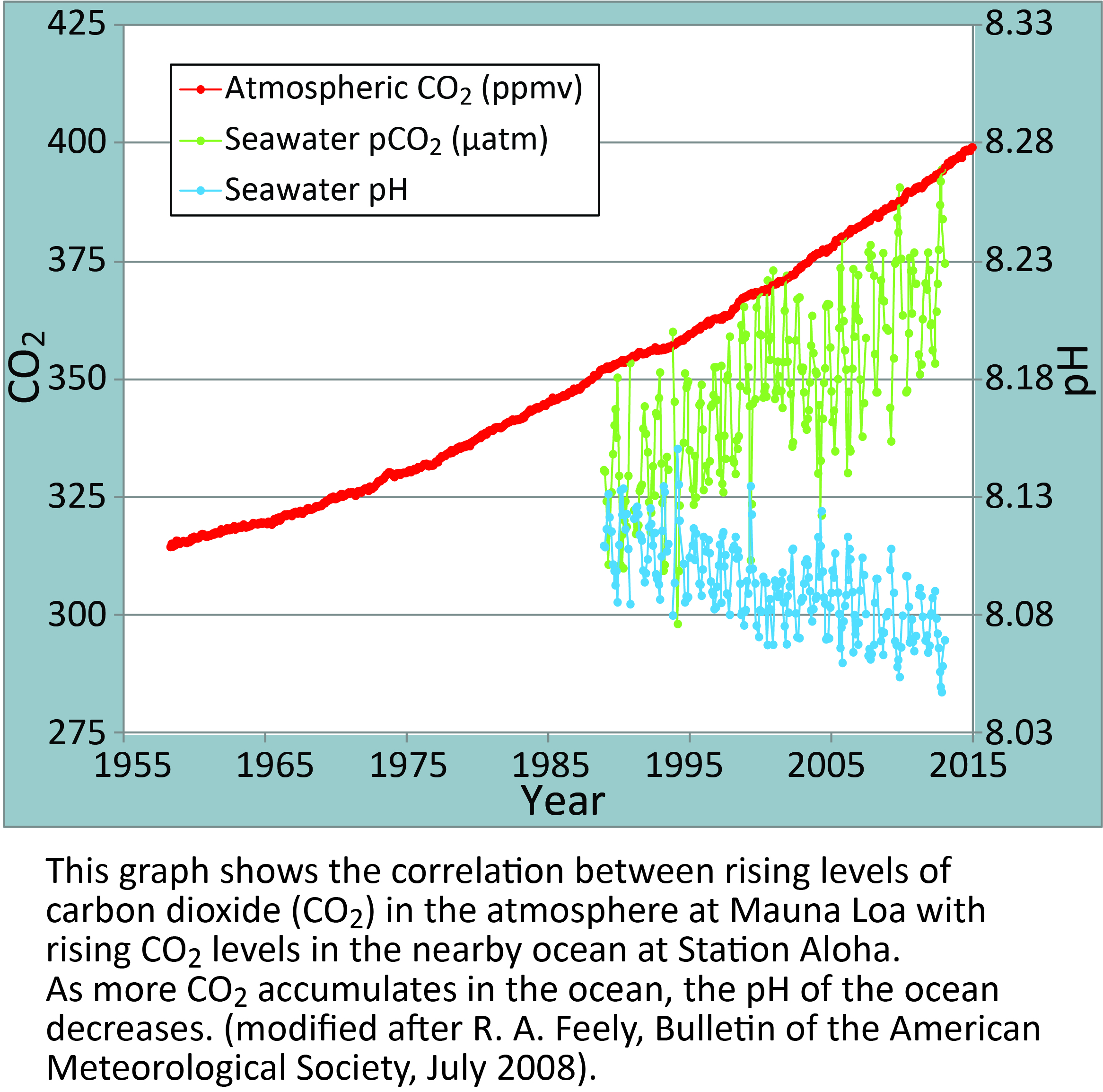 Seawater CO2
