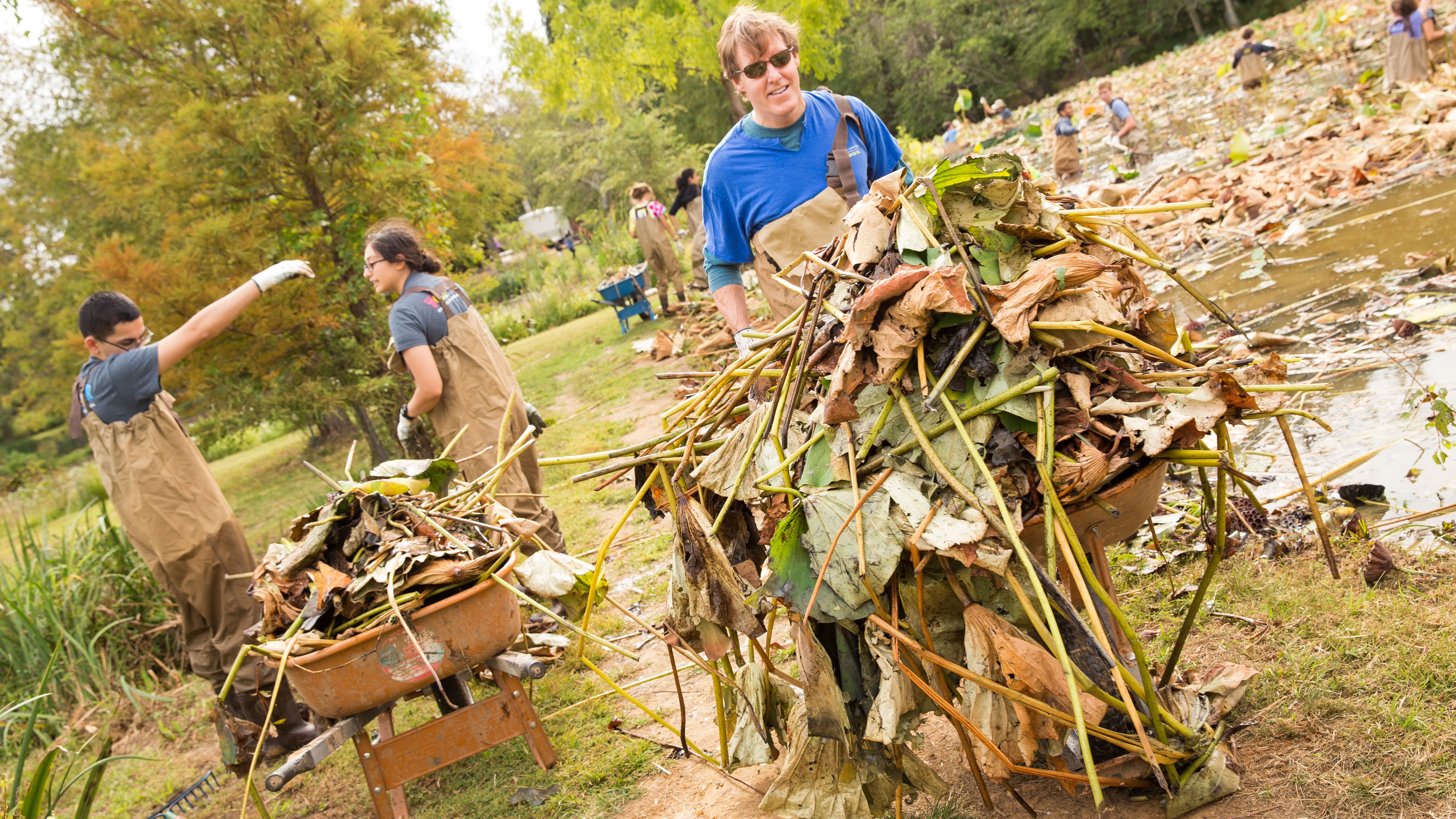 Kenilworth volunteers carting debris from the ponds