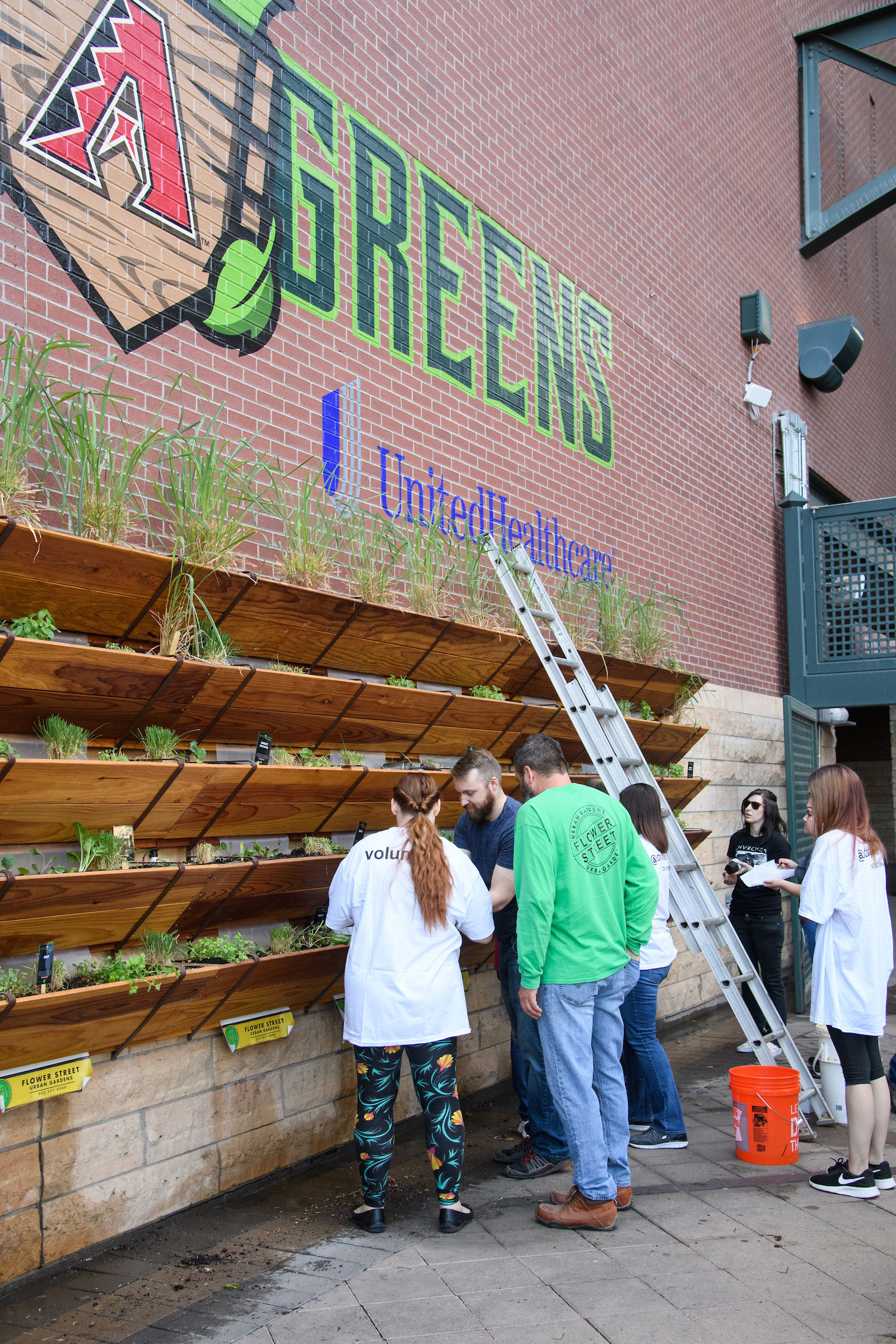 People working at the sustainable garden at the Arizona Diamondbacks stadium