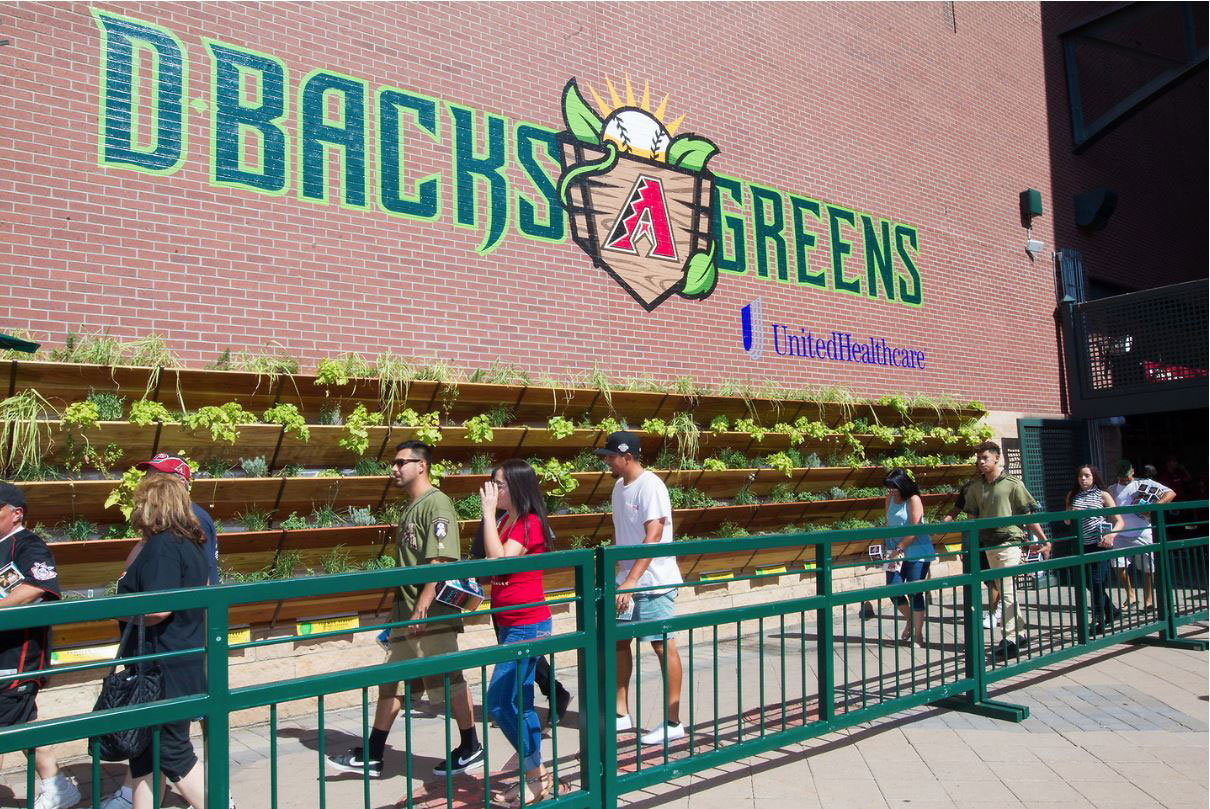 Sports fans walking past the sustainability garden at the Arizona Diamondbacks stadium