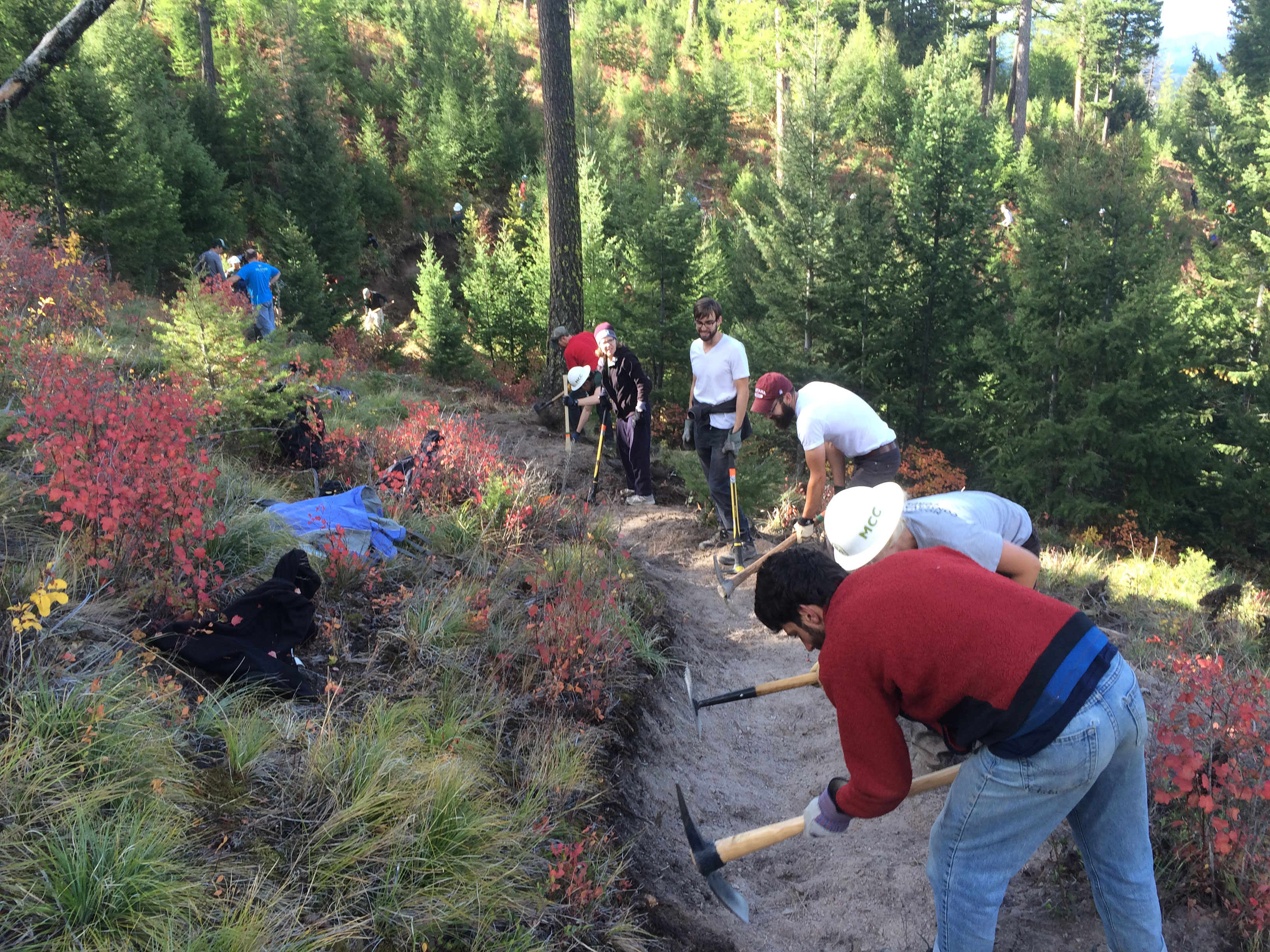 Group doing trail maintenance