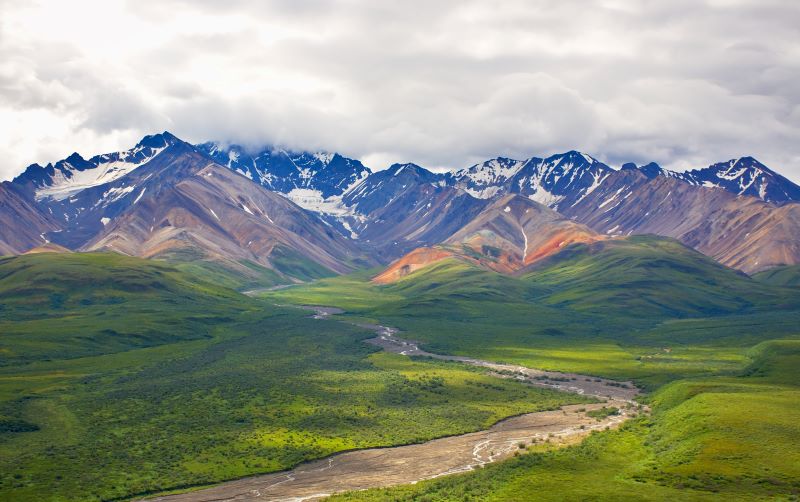 Denali National Park snow covered mountains with grass land below
