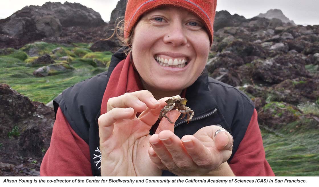 Alison Young is the co-director of the Center for Biodiversity and Community at the California Academy of Sciences (CAS) in San Francisco.