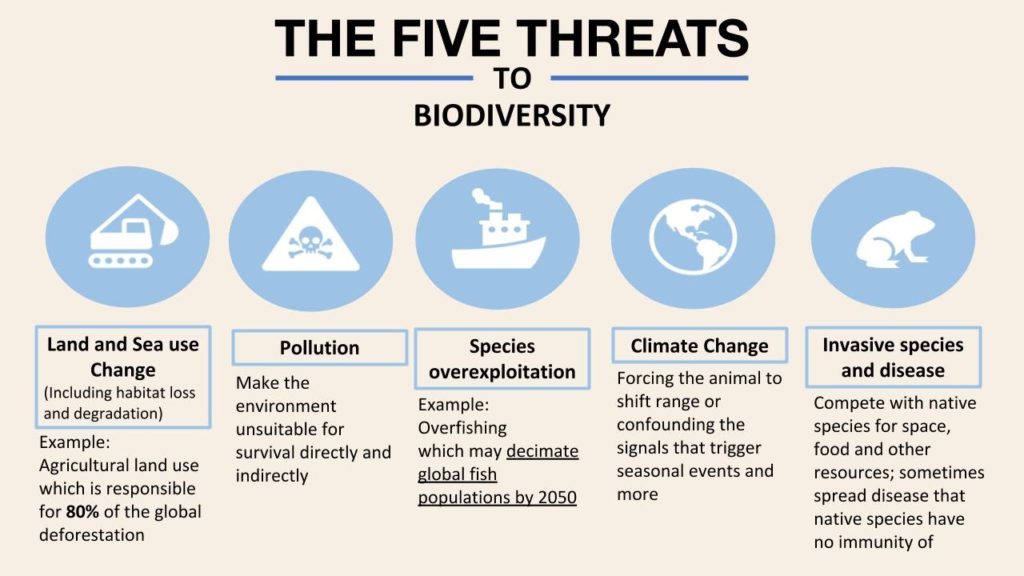 Infographic: The Five Threats to Biodiversity - land and sea use change, pollution, species exploitations, climate change, invasive species and disease