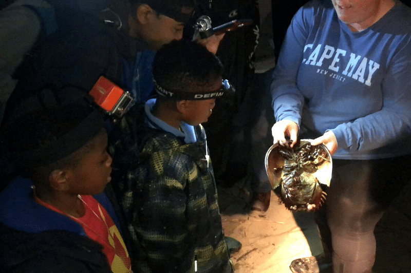 Children watching and listening to instructions for a horseshoe crab citizen science project.