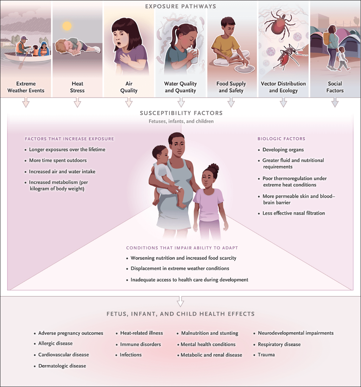 Climate change exposure pathways and the affects on fetuses, infants and children