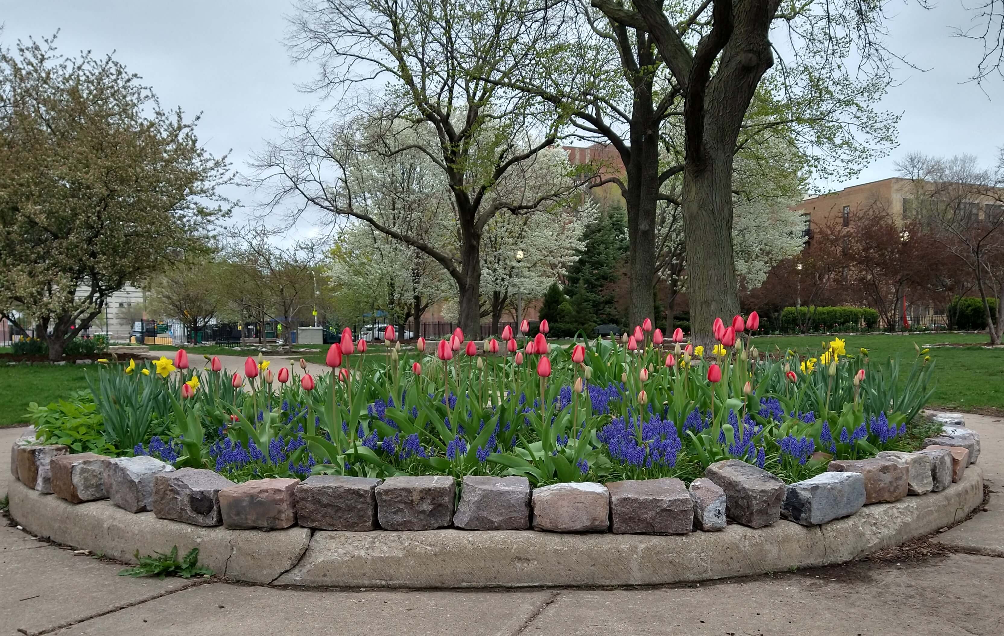 Flower Bed located in the ornamental flower garden of Loomis St. Community Garden