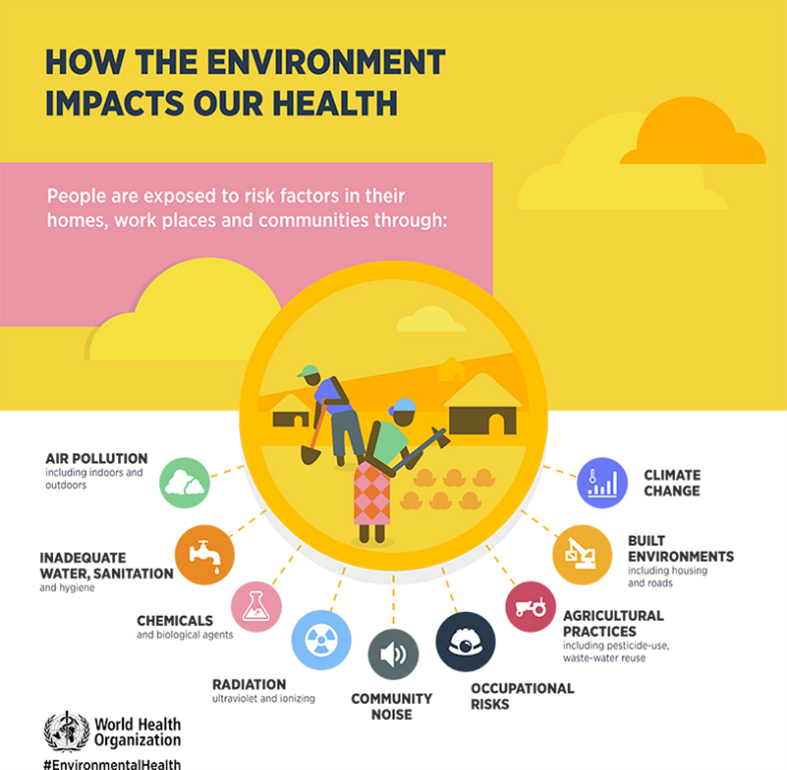 Graphic of how the environment impacts our health including air pollution, water sanitation, chemicals