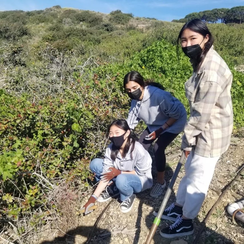 The Land Conservancy directly engages the community through public volunteer day opportunities held on Saturdays throughout the year.