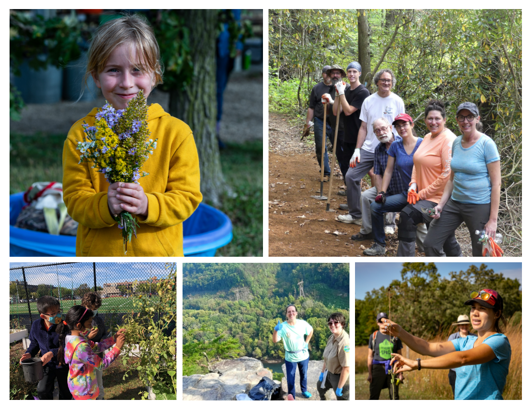 Photo collage of NPLD participants - little girl holding flowers, group of volunteers on the trail, children harvesting tomatoes, volunteers with trashbags at overlook of forest, leader explaining invasive plants
